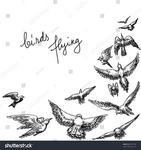 5’003 Creative Vintage Drawing Bird Flying Images, Stock Photos & Vectors | Shutterstock