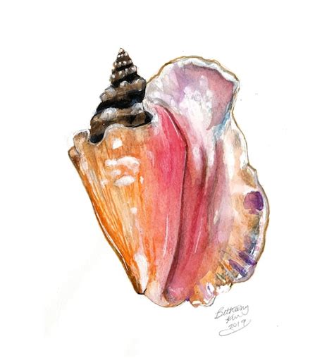 Beach Art Watercolor Queen Conch Shell Art Print by Bethany | Etsy