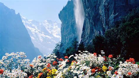 Flower Mountain Wallpapers - Top Free Flower Mountain Backgrounds - WallpaperAccess