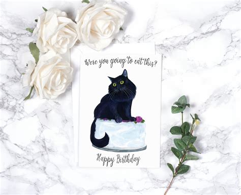 Funny Cat Birthday Card Funny Birthday Card Funny Animal | Etsy