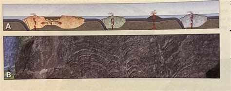 Solved 5. What did the atmosphere of the Archean consist of? | Chegg.com