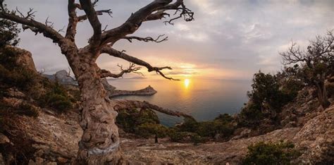 Premium Photo | Beautiful sunrise in the rocky mountains on the coast