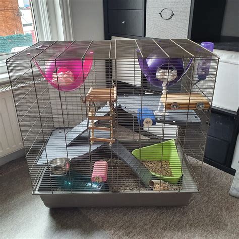 Rat cage with accessories | in Bournemouth, Dorset | Gumtree