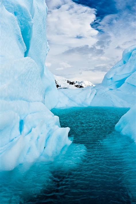 Icebergs in Antarctica. Photo by Duane Miller on Flickr. | Antarctica ...