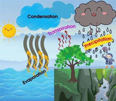 Condensation Of Water Cycle