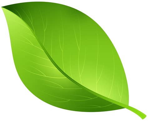 Green Leaf Transparent PNG Clip Art Image | Gallery Yopriceville - High-Quality Free Images and ...