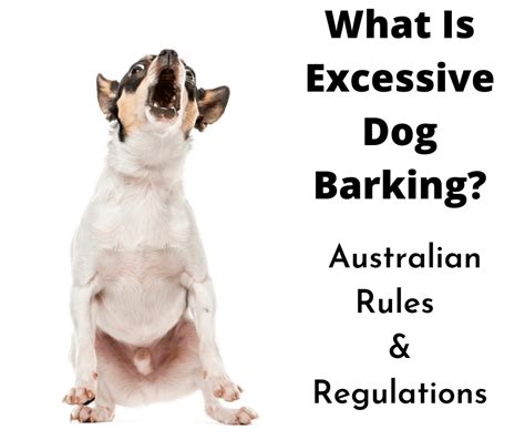 What Is Considered Excessive Dog Barking? The Australian Guidelines - gentledogtrainers.com.au