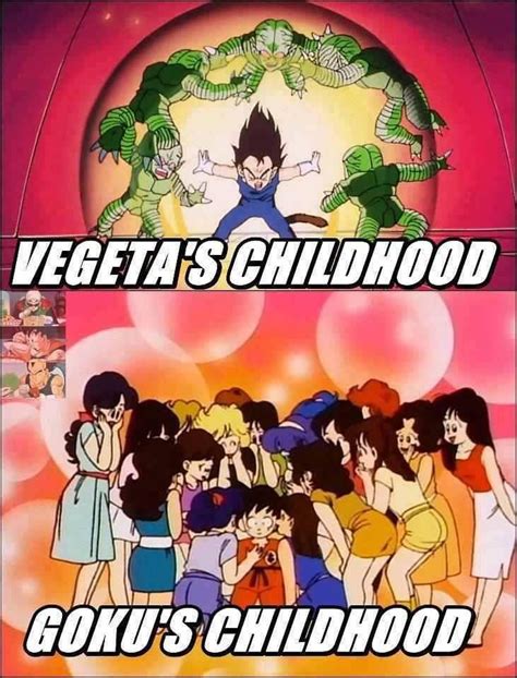 25 Hilarious Goku Vs Vegeta Memes That Will Leave You Laughing - pokemonwe.com