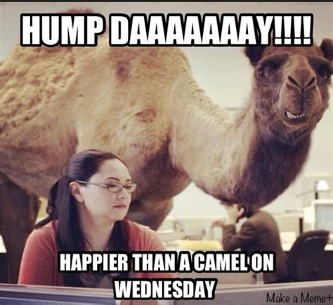 Camel Wednesday Images With Quotes. QuotesGram