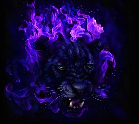 Neon Panther Animal Wallpapers - Wallpaper Cave