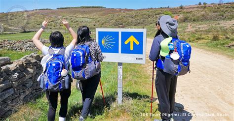 Camino: The Portuguese Route, A Walking Pilgrimage With 206, 50% OFF