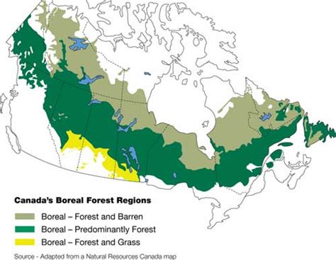 Boreal Forest Canada Map - Black Sea Map