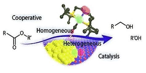 Differences between Homogeneous Catalysis and Heterogeneous Catalysis - QS Study