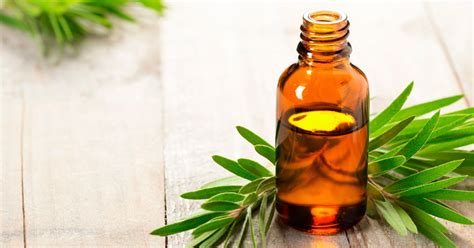 Tea Tree Oil for Acne: How to Use It - Dr. Axe