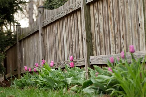 35 Awesome Wooden Fence Ideas for Residential Homes