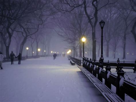 Central Park Night Wallpapers - 4k, HD Central Park Night Backgrounds ...