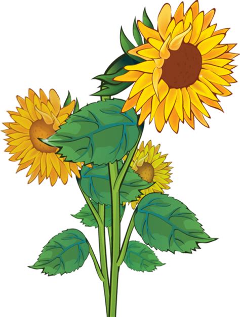 Download High Quality sunflower clip art rustic Transparent PNG Images - Art Prim clip arts 2019