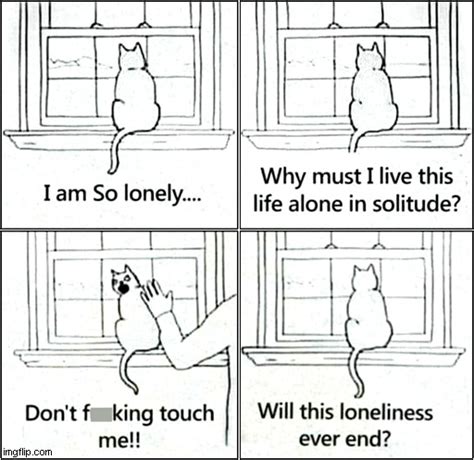 I Relate To This Cat ! - Imgflip