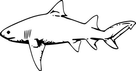 Shark Gills Clip Art at Clker.com - vector clip art online, royalty free & public domain