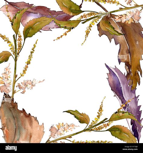 Brown chestnut leaves. Frame border ornament square. Leaf plant garden foliage. Watercolor ...