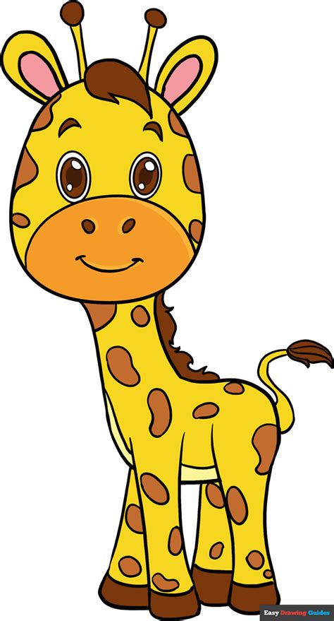 How to Draw a Baby Giraffe - Really Easy Drawing Tutorial