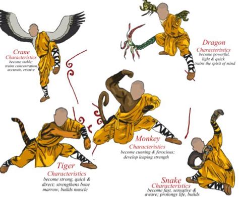 5-animal-styles_shao-lin-kung-fu - Learn Shaolin Kungfu in China