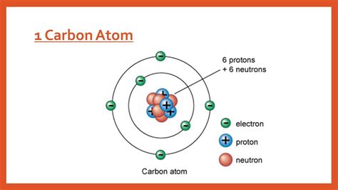 Carbon Atom Diagram Labeled