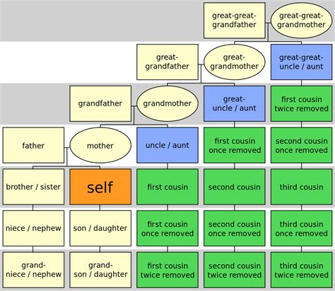 Family tree. Cousins are colored green. Generations are shown by alternating stripes of gray and ...