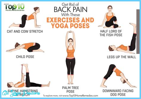 Beginner Yoga Poses For Back Pain - AllYogaPositions.com