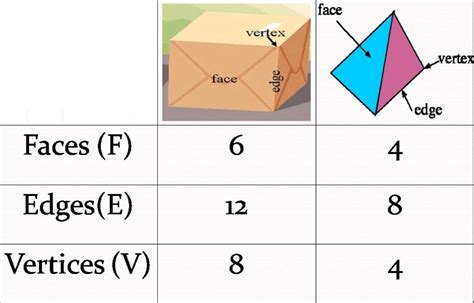 NCERT Class 8 Mathematics Solutions: Chapter 10 – Visualising Solid Shapes Exercise 10.3 Part 2 ...