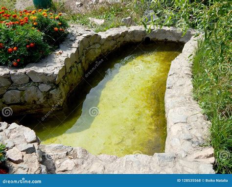 Decorative Pool for the Baptism of Swimming in the Sunny Summer Horizontal Photo Stock Photo ...