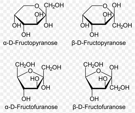 Fructose Haworth Projection Psicose Anomer Mannose, PNG, 1226x1024px, Fructose, Allose, Anomer ...