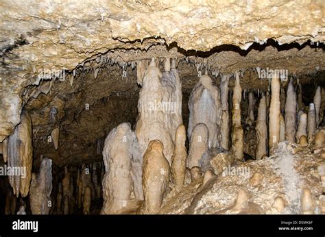 Limestone stalactites and stalagmites in Harrison's Cave, Barbados Stock Photo - Alamy