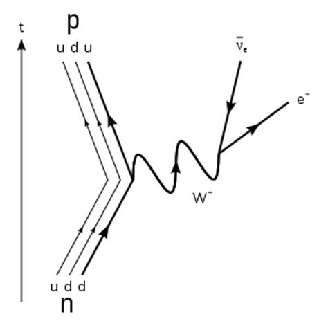 Beta Decay – EWT