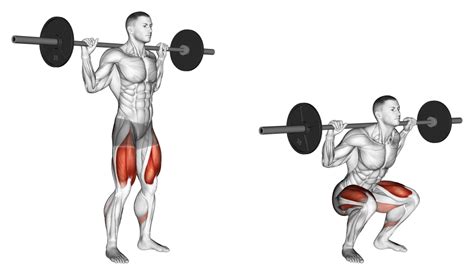 Barbell Squat: Benefits, Muscles Used, and More - Inspire US