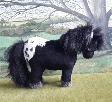 Appaloosa Shetland Pony | Shetland pony, Hobby horse, Pony