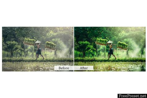 75 Nature Photoshop Actions 3934849