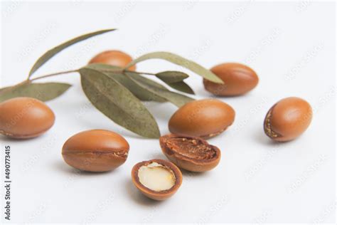 Argan seeds isolated on a white background. Argan oil nuts with plant ...