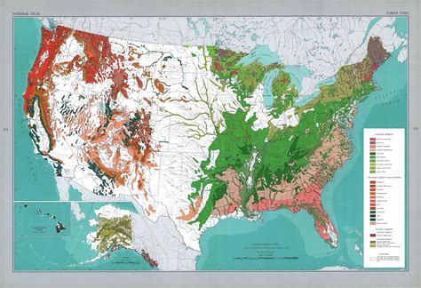 Major forest types of the United States (1967) - Vivid Maps