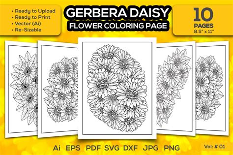 Gerbera Daisy Flower Coloring Page Graphic by TeamlancerBD · Creative Fabrica