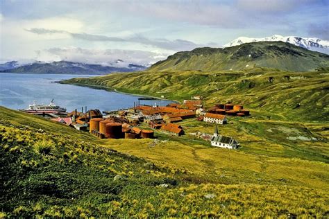 South Georgia Island, Antarctica | Island travel, South georgia island ...