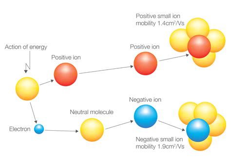 Ions-Explained | Elanramedical