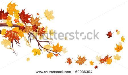 autumn leaves falling from a tree branch