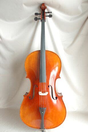 Violoncello | The Instruments Wiki | Fandom