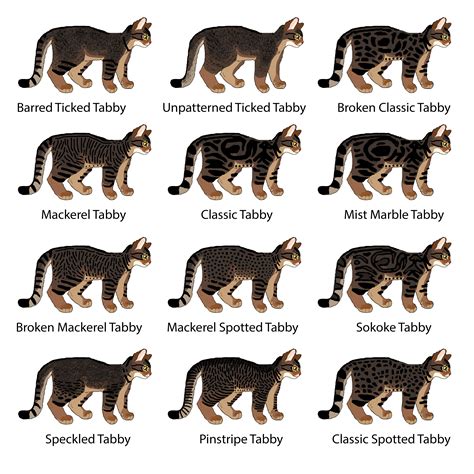 Cat Genetics Guide: Tabby Patterns — Weasyl