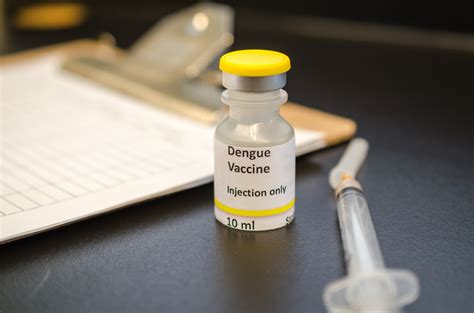 FDA approves first dengue vaccine for use in endemic areas - Homeland Preparedness News