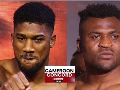 Francis Ngannou's Bold Statements and the Heavyweight Boxing Landscape ...