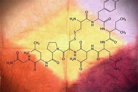 How scientists fell in and out of love with the hormone oxytocin - Vox