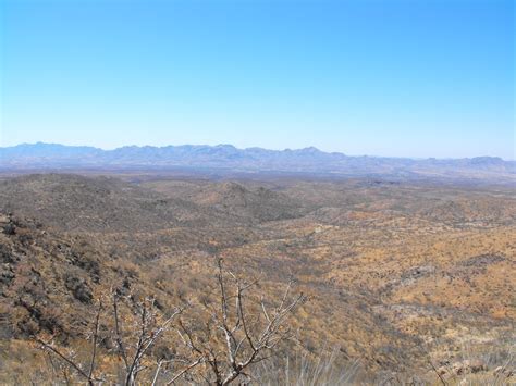 Wanderings through Arizona: Santa Rita Mountains