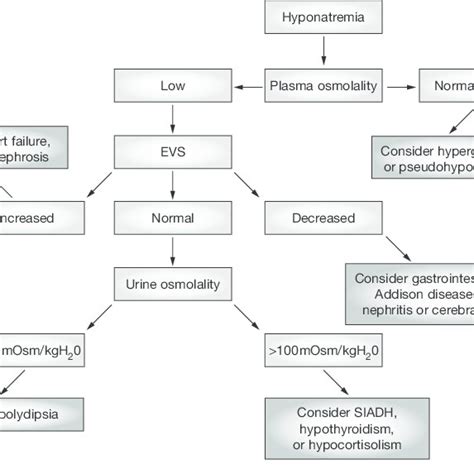 Flowchart of the diagnostic work-up for hyponatremia. Abbreviations ...